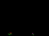 click to play animation