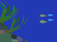 click to play animation